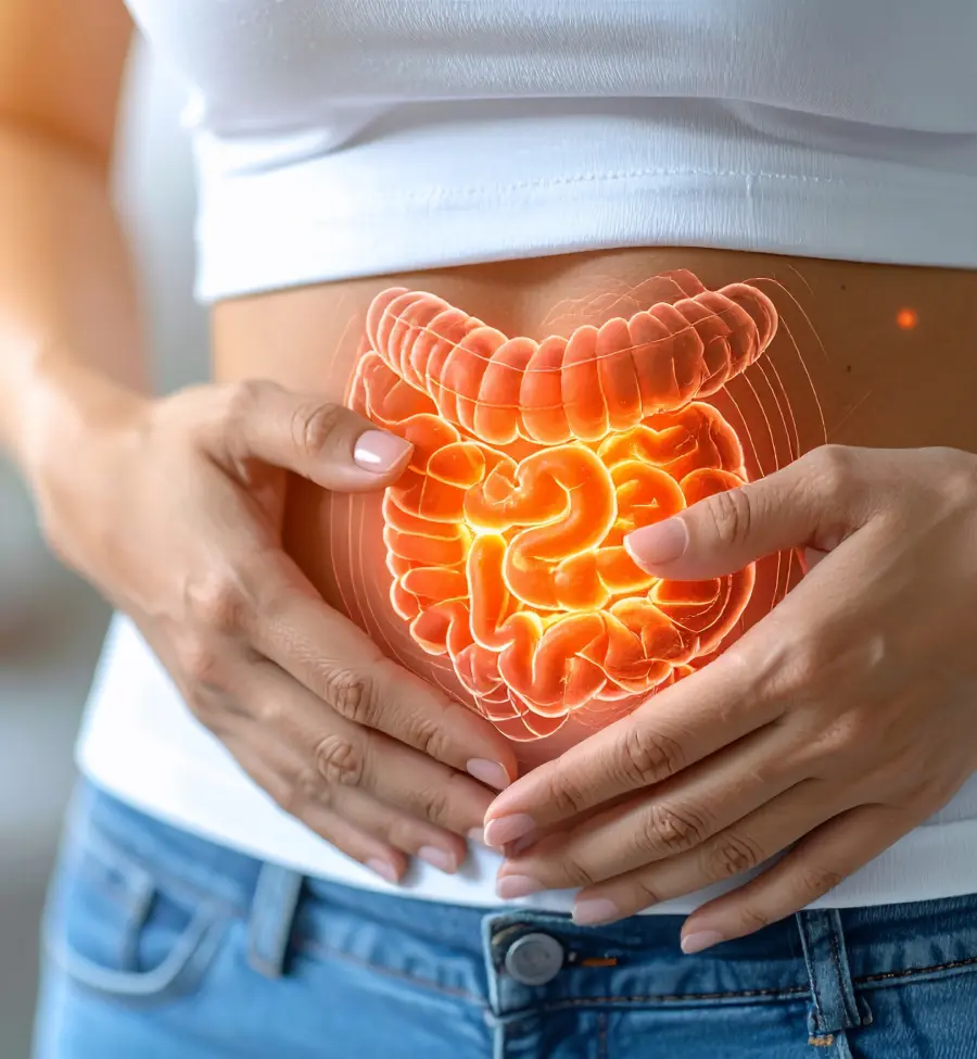 Digestive system with scientific research